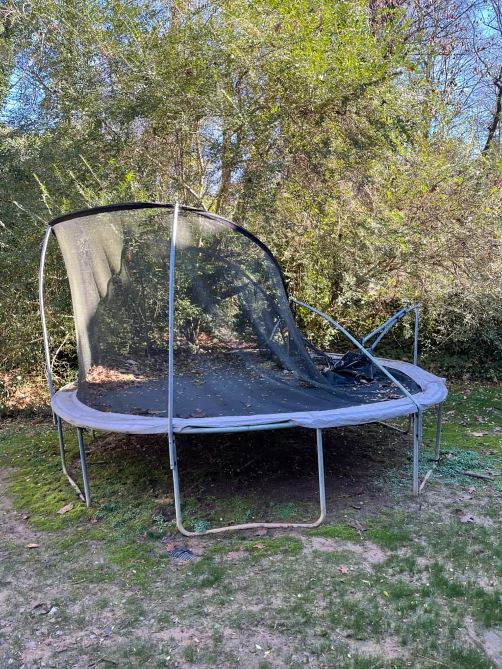 Yard Debris Removal proof image