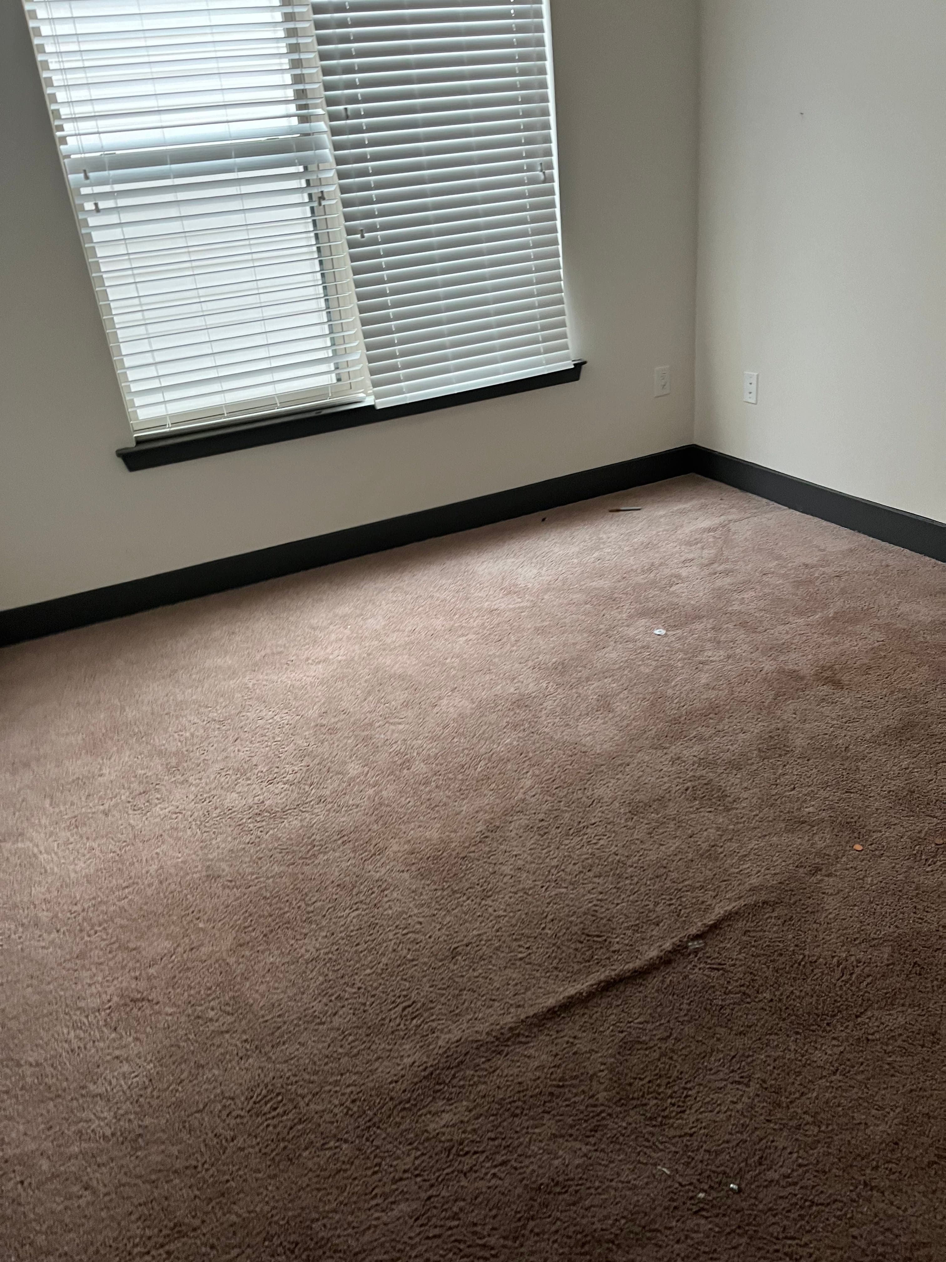 Clean empty room after junk removal with open carpet space and natural light coming through the windows.